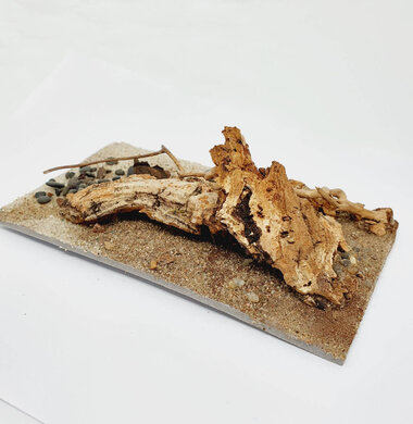 AntScape Biohobby 0323040101016