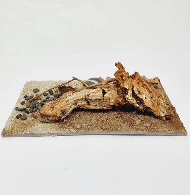 AntScape Biohobby 0323040101016