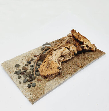 AntScape Biohobby 0323040101016