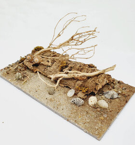 AntScape Biohobby 0323040102014