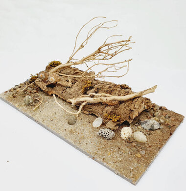 AntScape Biohobby 0323040102014