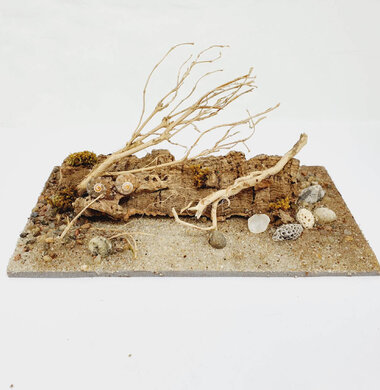 AntScape Biohobby 0323040102014