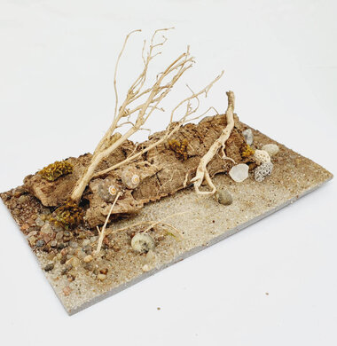 AntScape Biohobby 0323040102014