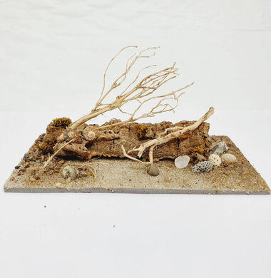 AntScape Biohobby 0323040102014