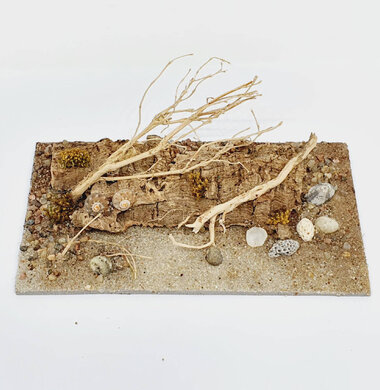 AntScape Biohobby 0323040102014