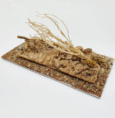 AntScape Biohobby 0323040102014