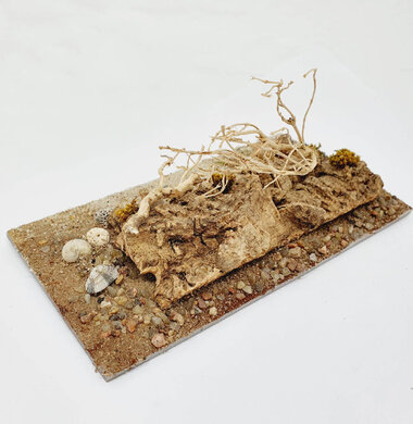 AntScape Biohobby 0323040102014