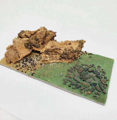 AntScape Biohobby 0323042801001