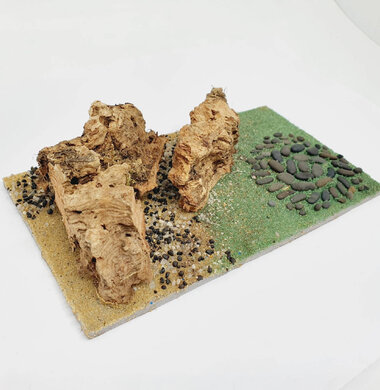 AntScape Biohobby 0323042801001