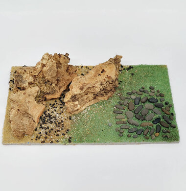 AntScape Biohobby 0323042801001