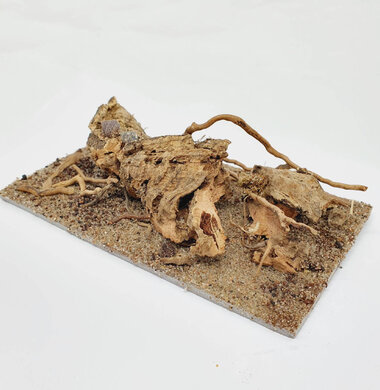 AntScape Biohobby 0323042801004