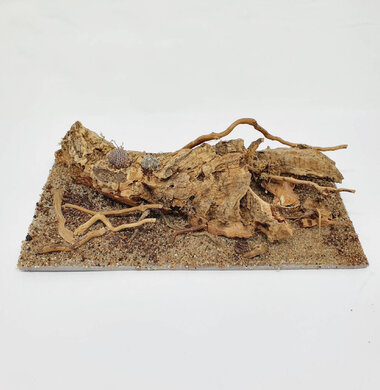 AntScape Biohobby 0323042801004