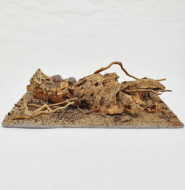 AntScape Biohobby 0323042801004