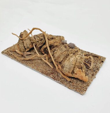 AntScape Biohobby 0323042801004