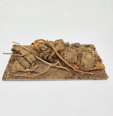 AntScape Biohobby 0323042801004