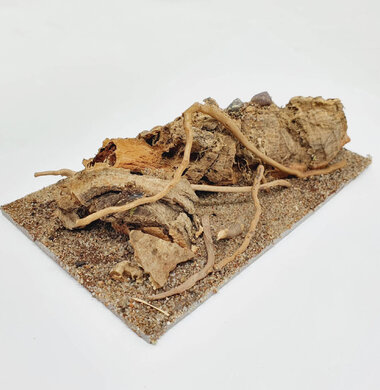 AntScape Biohobby 0323042801004