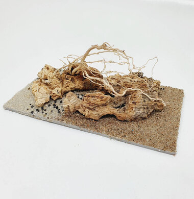 AntScape Biohobby 0323042801005