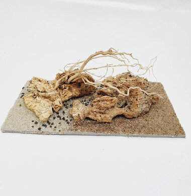 AntScape Biohobby 0323042801005