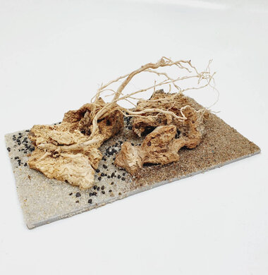 AntScape Biohobby 0323042801005