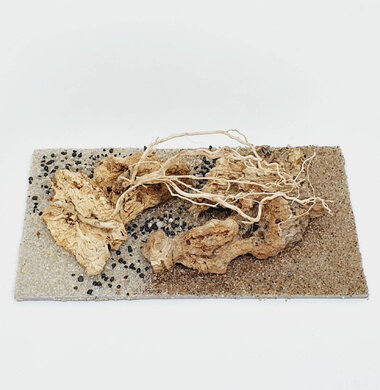 AntScape Biohobby 0323042801005