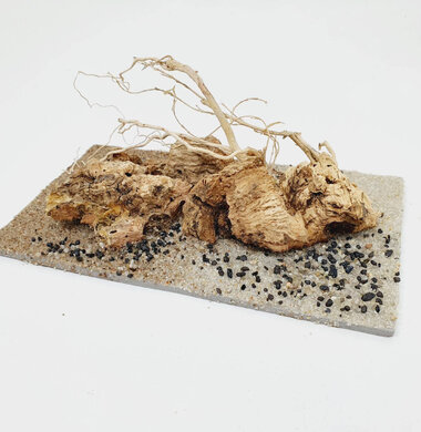 AntScape Biohobby 0323042801005