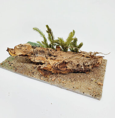 AntScape Biohobby 0323042801007