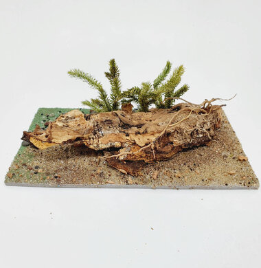 AntScape Biohobby 0323042801007