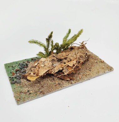 AntScape Biohobby 0323042801007