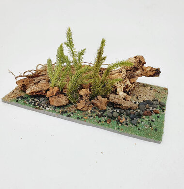 AntScape Biohobby 0323042801007