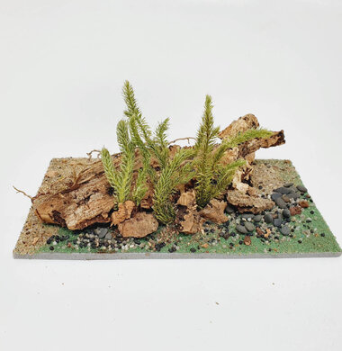 AntScape Biohobby 0323042801007