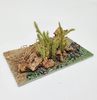 AntScape Biohobby 0323042801007