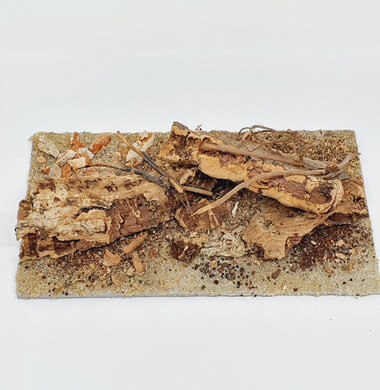 AntScape Biohobby 0323042803002