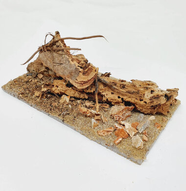 AntScape Biohobby 0323042803002