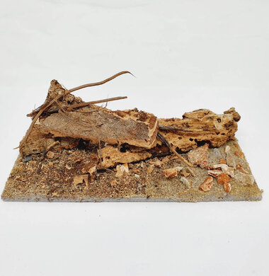 AntScape Biohobby 0323042803002