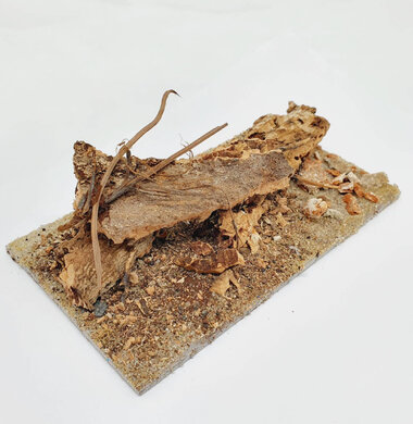 AntScape Biohobby 0323042803002