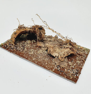 AntScape Biohobby 0323042803008