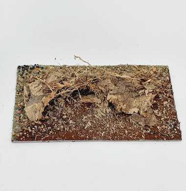 AntScape Biohobby 0323042803008