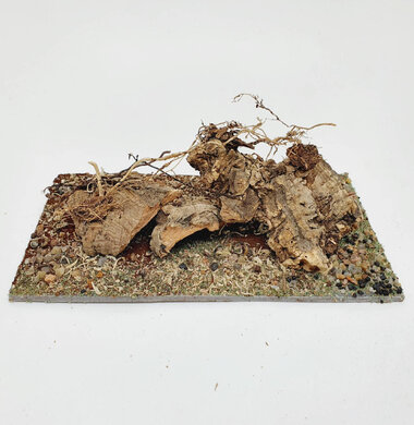 AntScape Biohobby 0323042803008