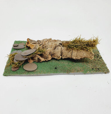 AntScape Biohobby 0323052701001