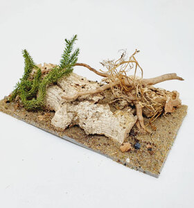 AntScape Biohobby 0323052701002