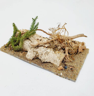 AntScape Biohobby 0323052701002