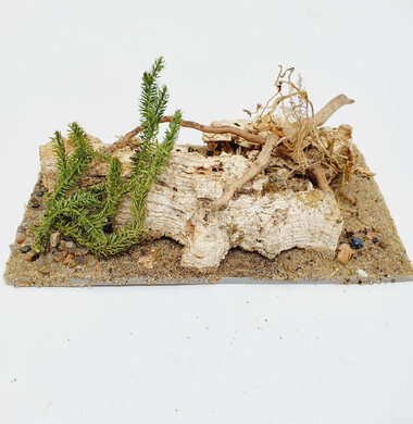 AntScape Biohobby 0323052701002