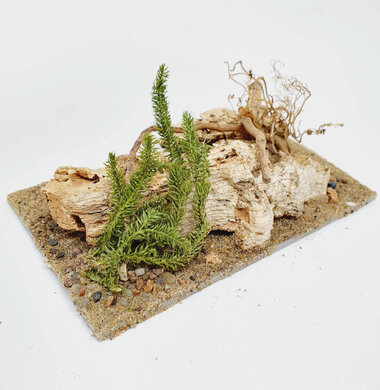 AntScape Biohobby 0323052701002