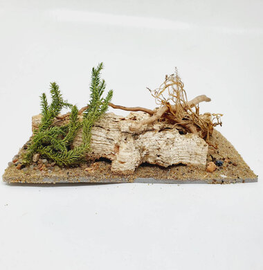 AntScape Biohobby 0323052701002