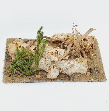 AntScape Biohobby 0323052701002