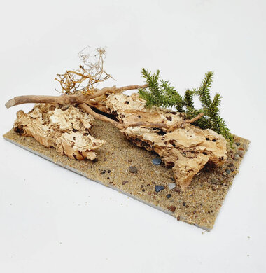 AntScape Biohobby 0323052701002