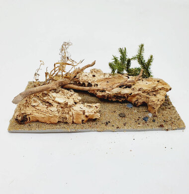 AntScape Biohobby 0323052701002