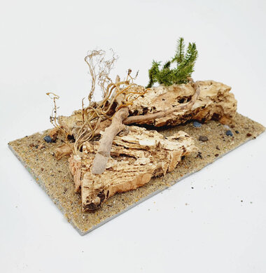 AntScape Biohobby 0323052701002