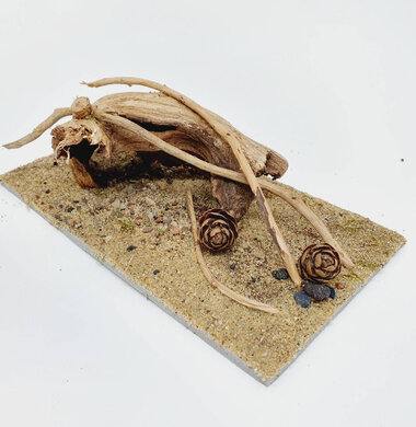 AntScape Biohobby 0323052701004