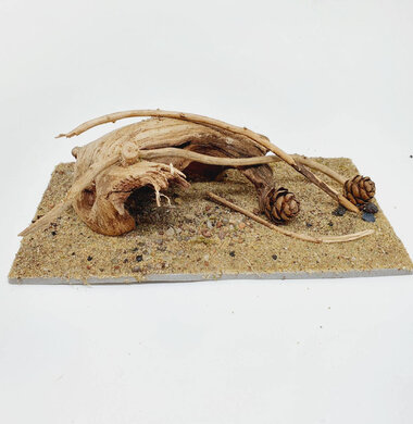 AntScape Biohobby 0323052701004